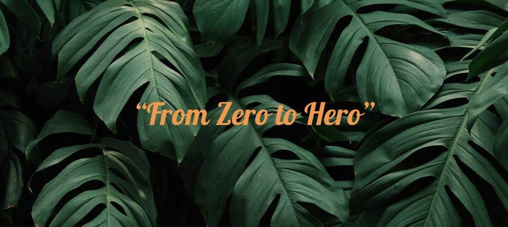 From zero To Hero